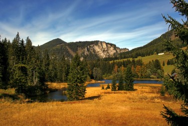 惠州惠城区7民间私贷攻略：揭秘低成本借贷的秘密