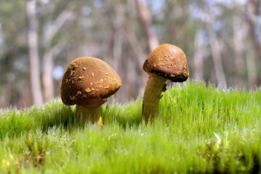 惠州惠城区7私人老板放款：轻松融资的秘密通道